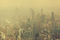 Čína: jak přežít pobyt ve znečištěných městech