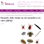 Paraziti: Kde všude na ně narazíte a co vám udělají